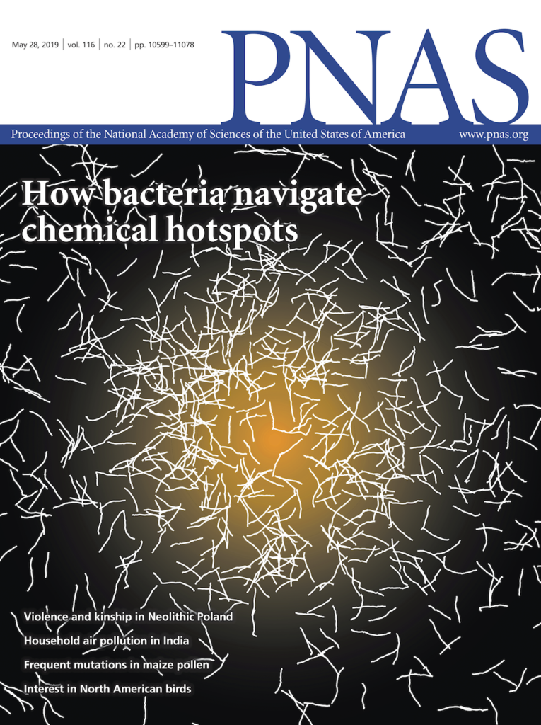 BCHYLS_Cover_pnas_116_22-765x1024.png