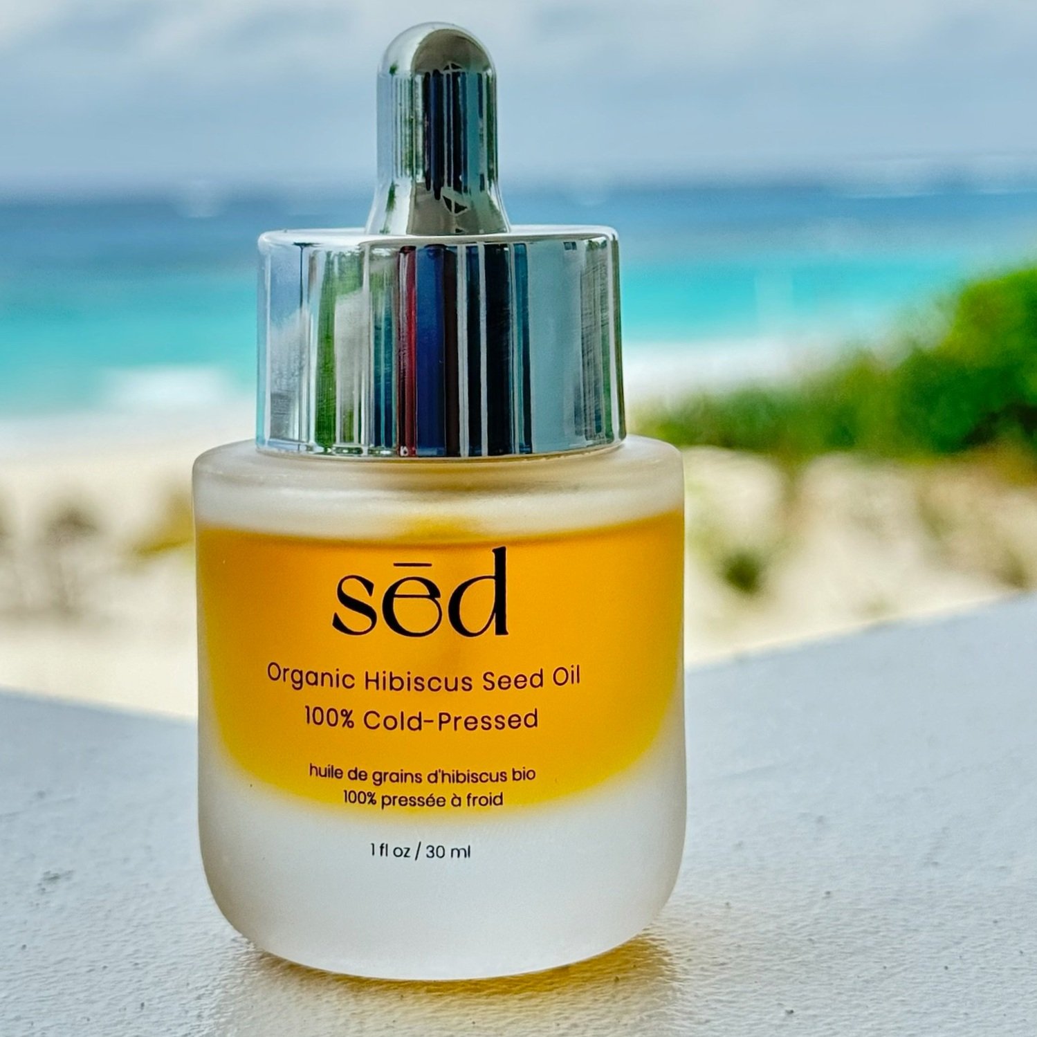 sed+in+abaco.jpg