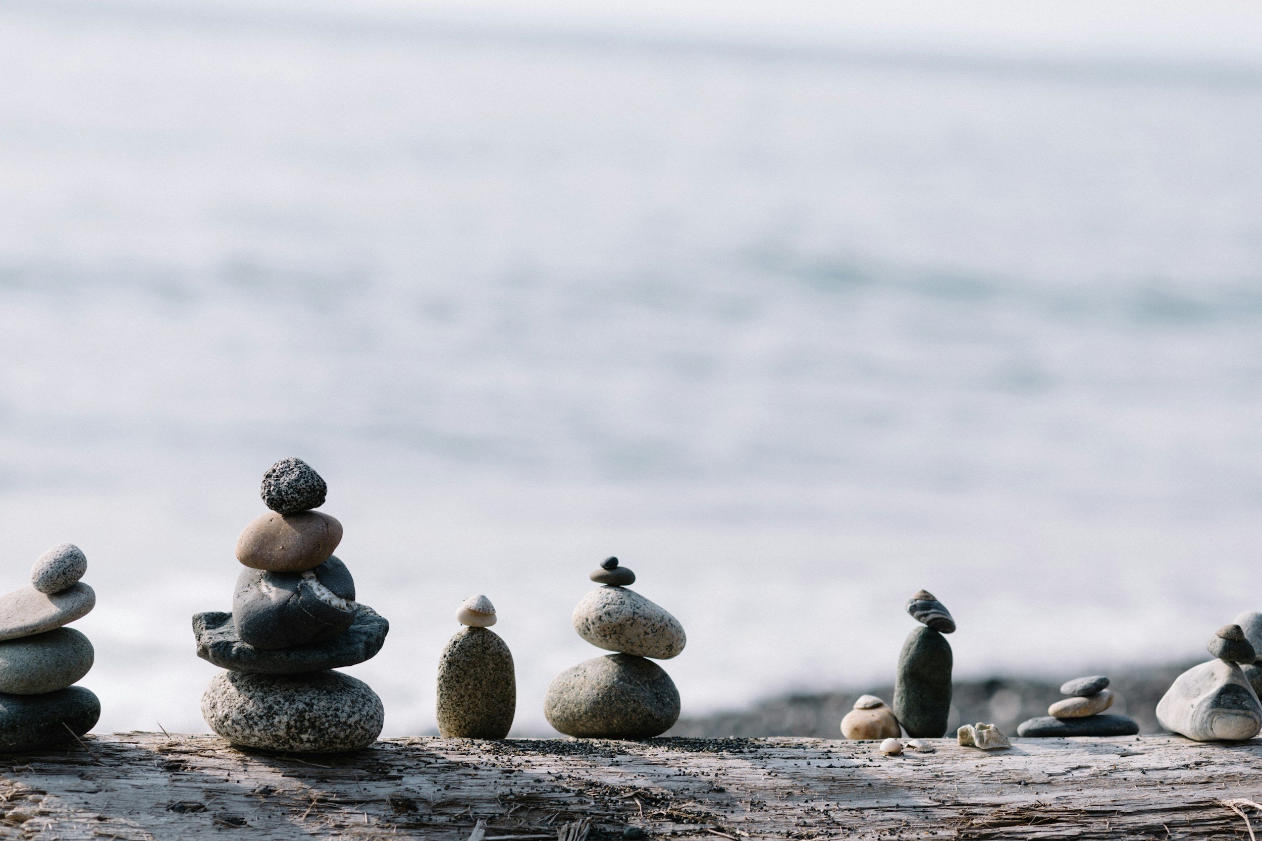 Cultivating Calm: Finding Balance in a Chaotic World