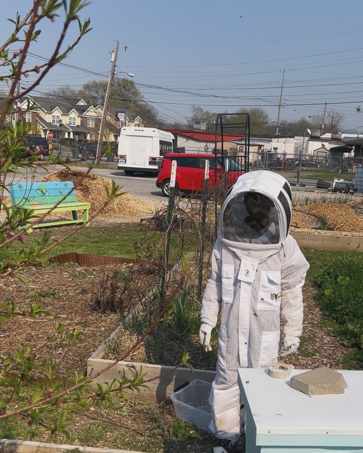 One of our bravest students in Garden Club on the farm, has shown great interest in being around the bee’s. After practice and some bee protocol, we were able to get them suited up, spend some time watching the bees enter and exit the hive in s