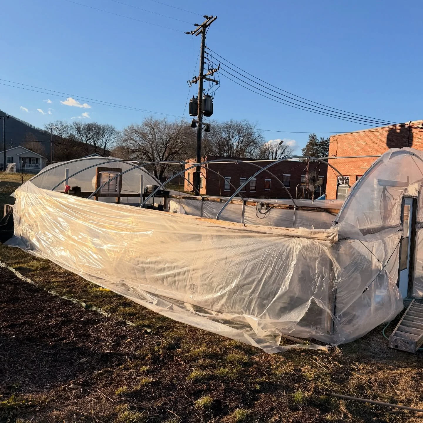 Yesterday the roof above our head came flying off, metaphorically and physically. After 2 long weeks and a continuance of 2 more coming up, of seeding over 5,000 plants for our farm, community garden, and a plant sale, our greenhouse roof came flying