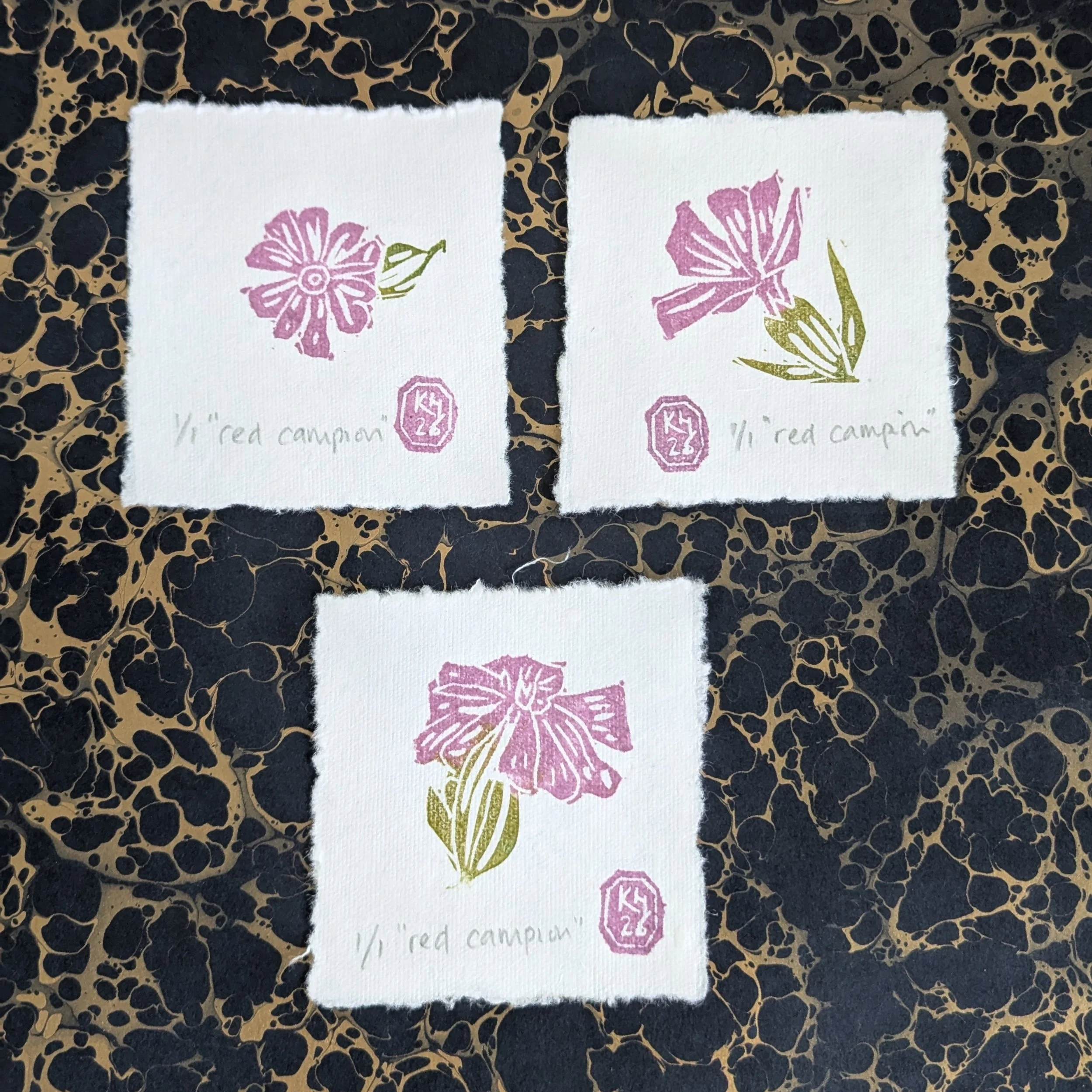 Red Campion - original monoprint lino print miniprint