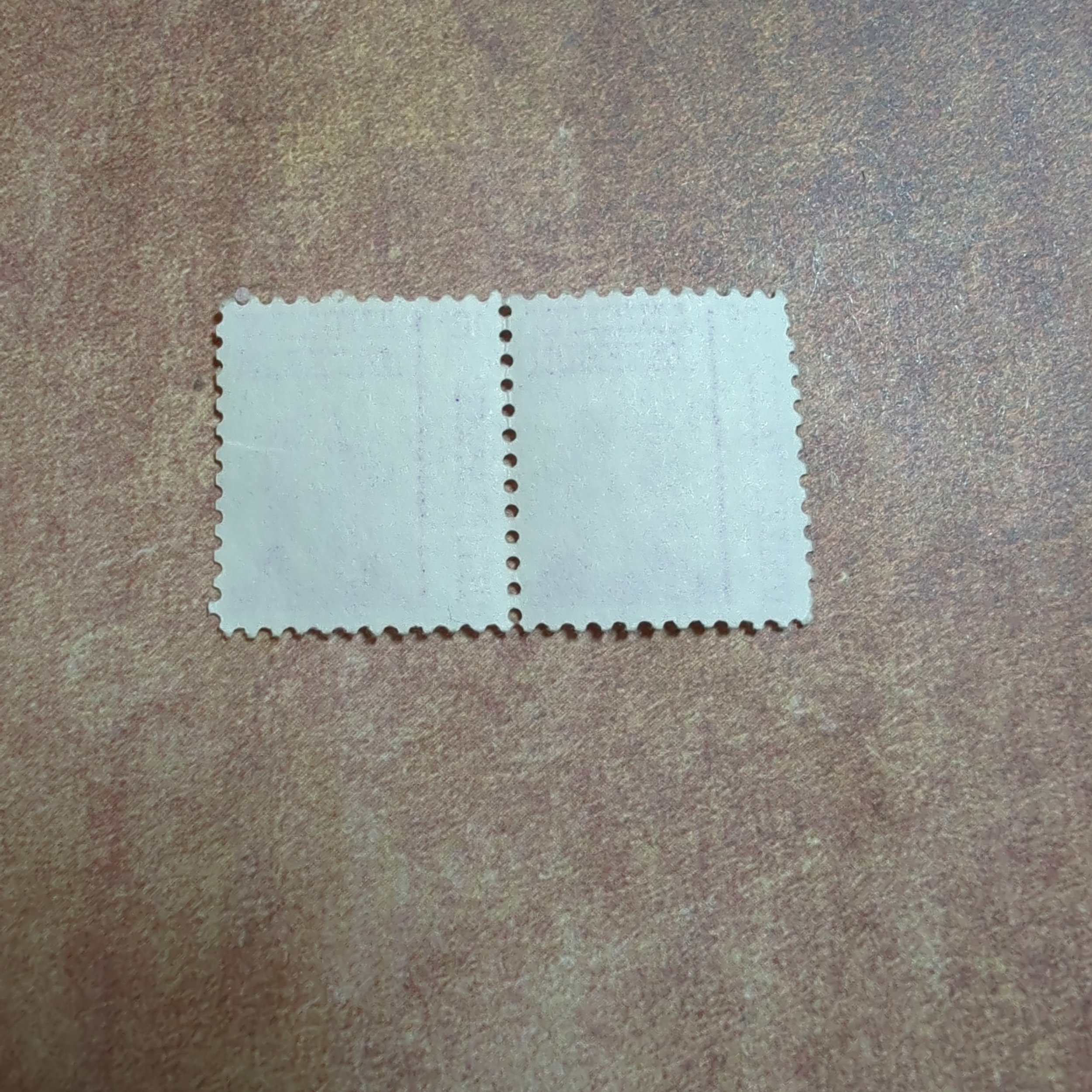 processed_6123c45704eb4ce49e9eb8f5e9c01c71.jpeg