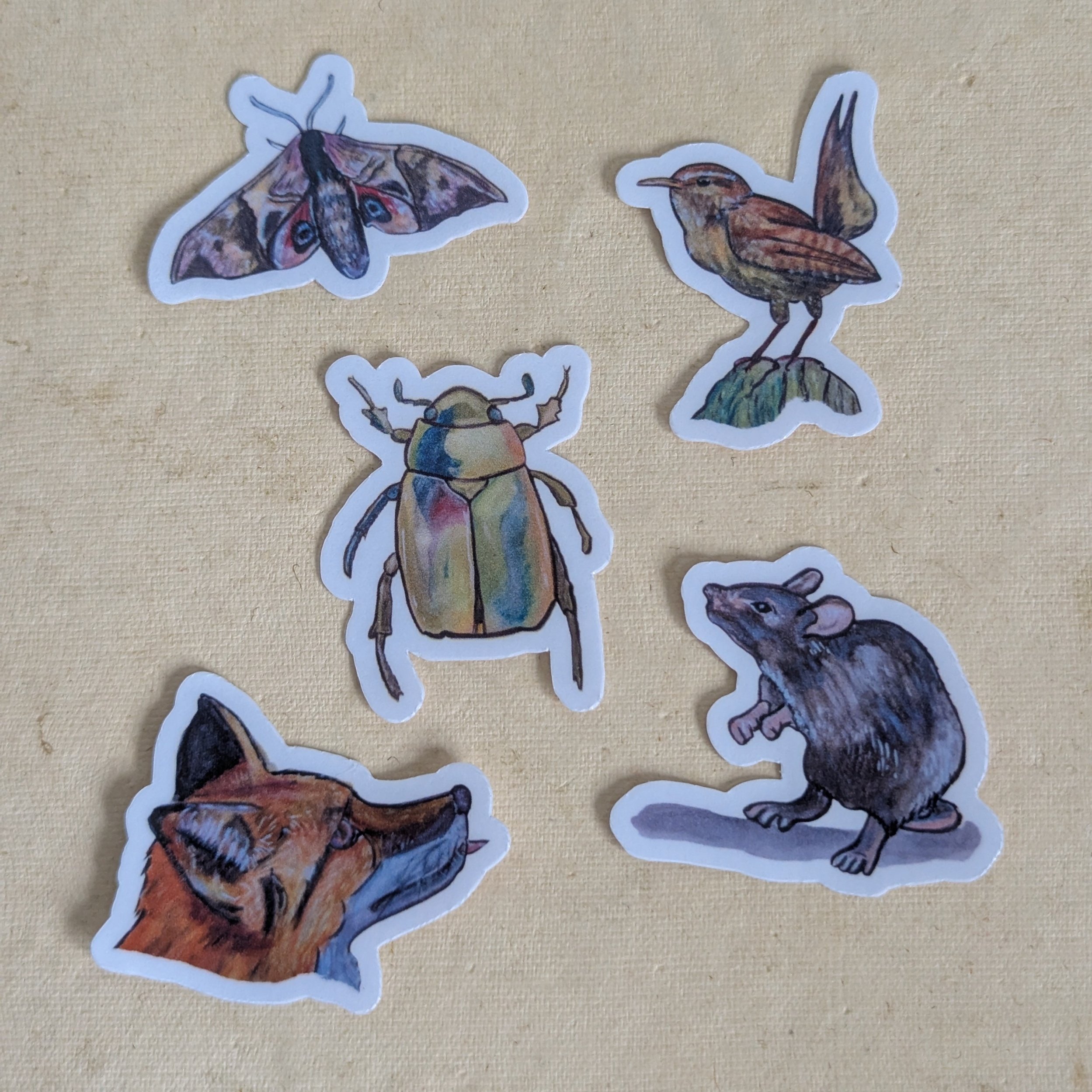 Woodland Creatures Sticker Set