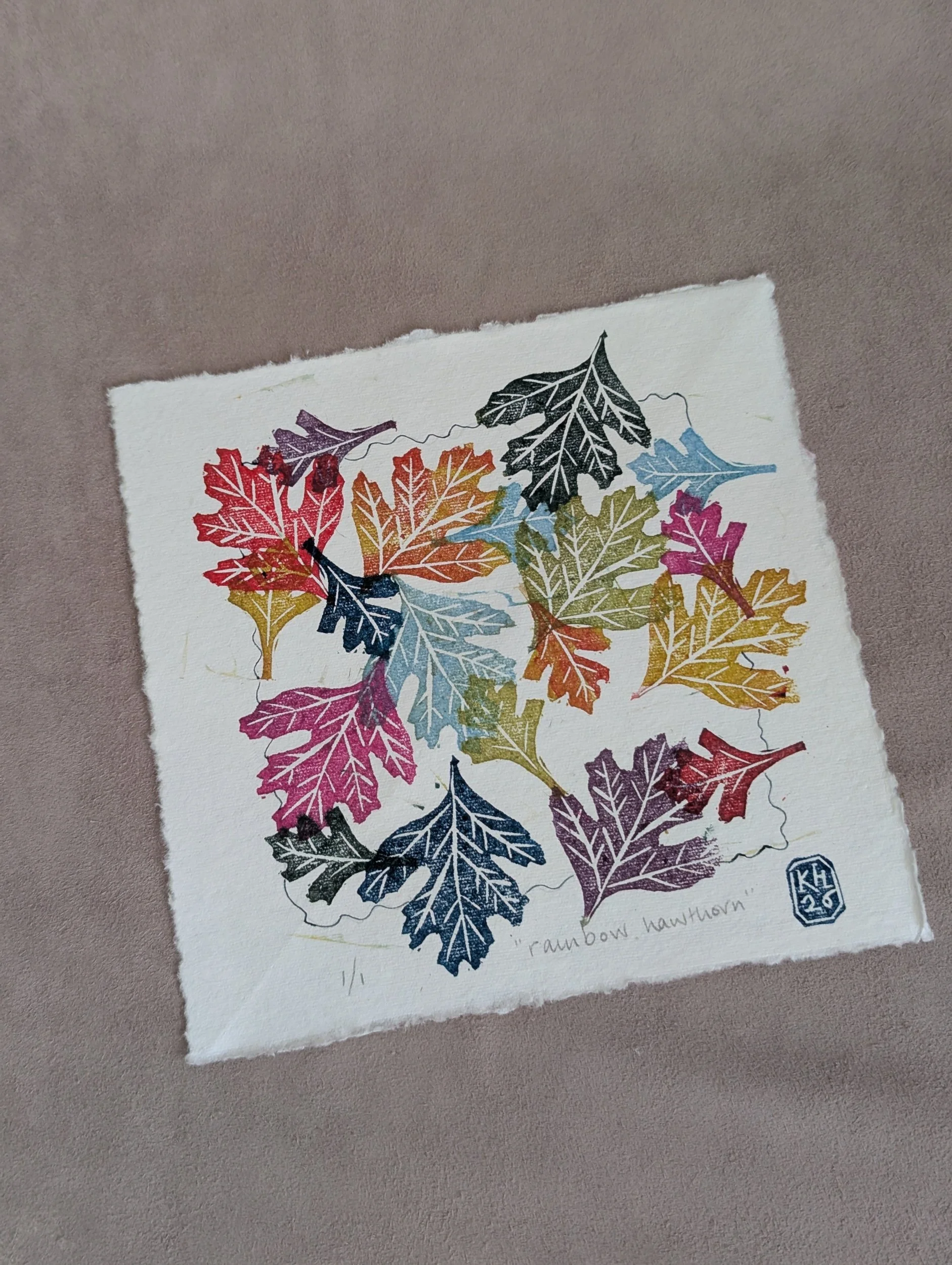Rainbow hawthorn - original lino print - multicolour monoprint