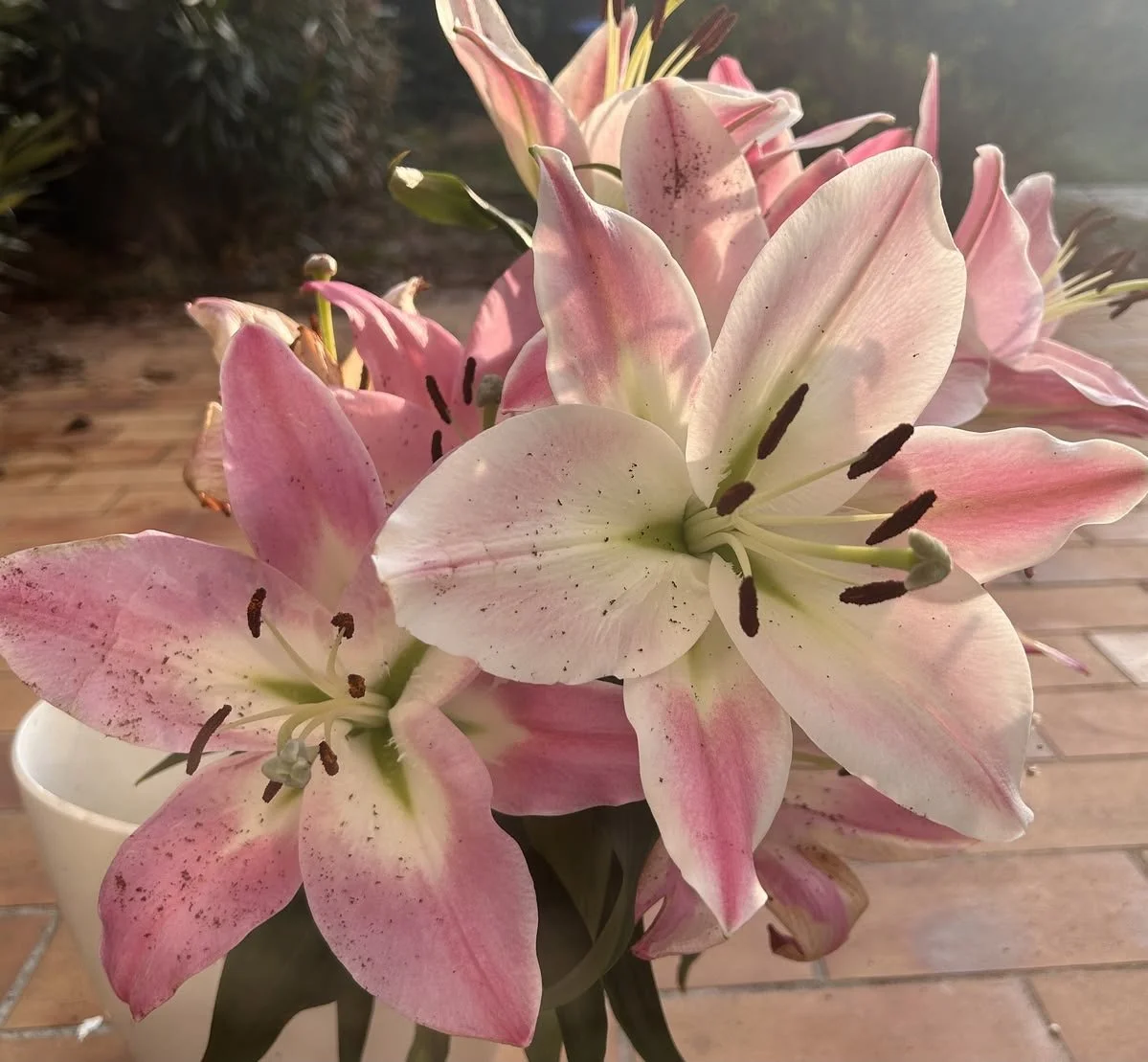 lilies and ocean salt 