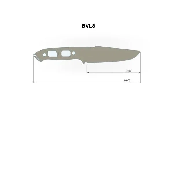 BVL8.jpg