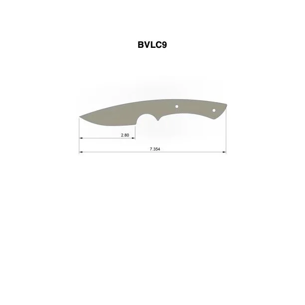 BVLC9.jpg