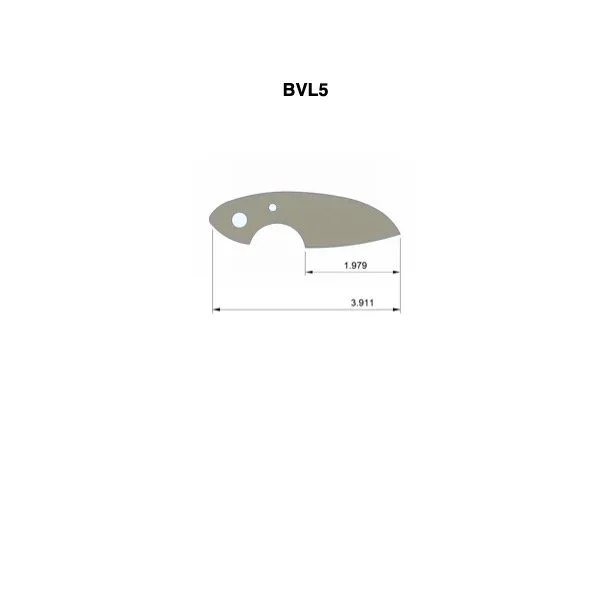 BVL5.jpg