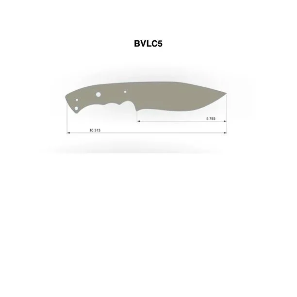 BVLC5.jpg