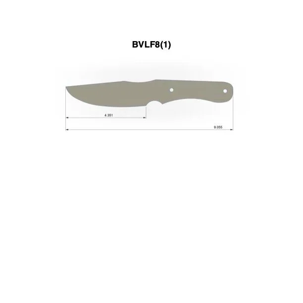 BVLF8%281%29.jpg