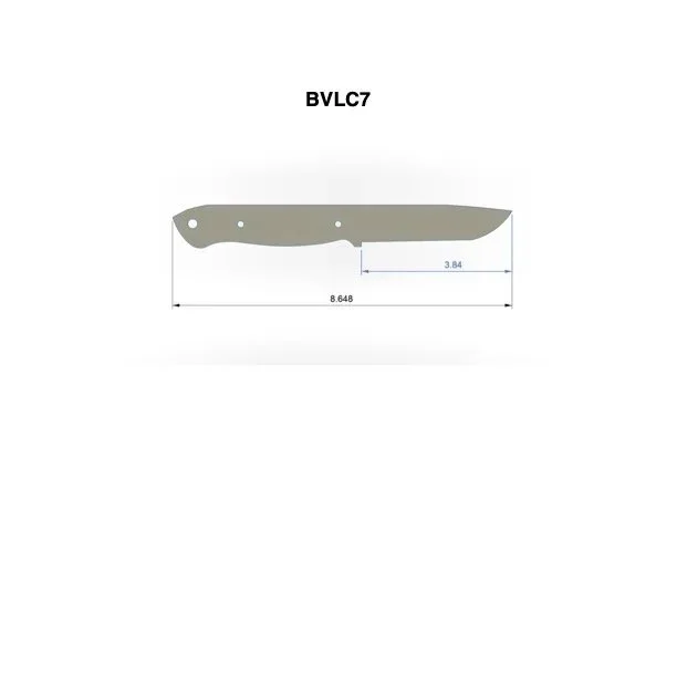 BVLC7.jpg