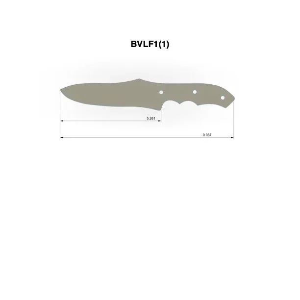 BFLF1%281%29.jpg