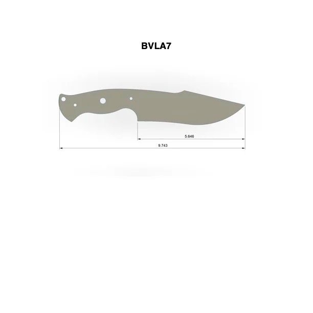 BVLA7.jpg