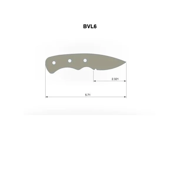 BVL6.jpg