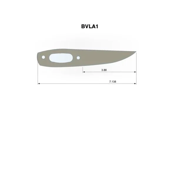 BVLA1.jpg