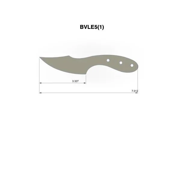 BVLE5%281%29.jpg