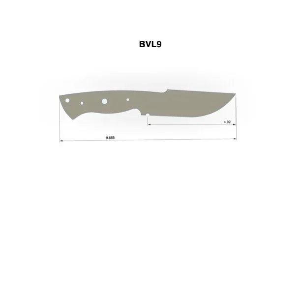 BVL9.jpg