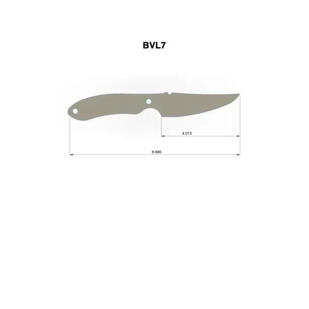 BVL7.jpg