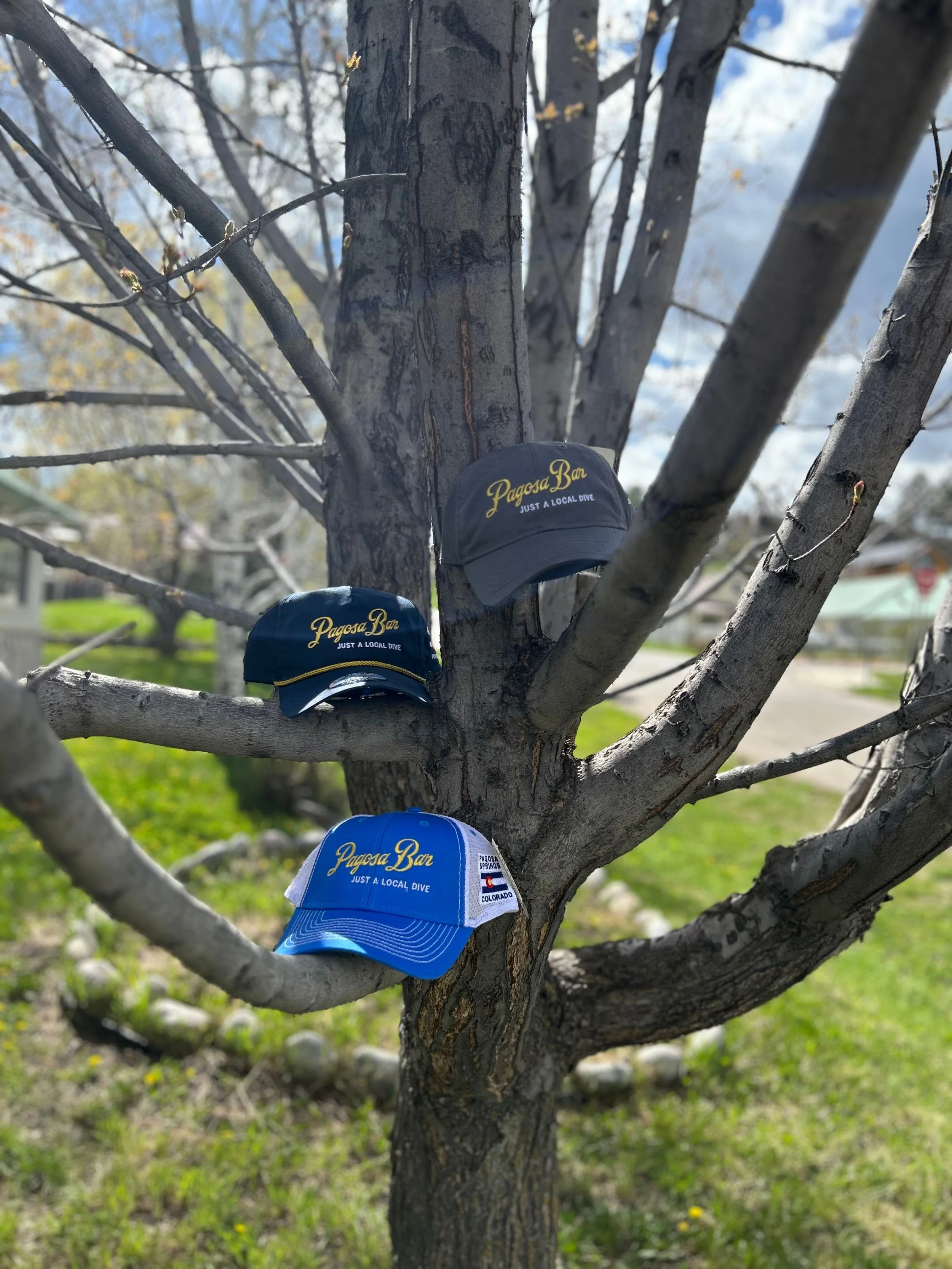 Pagosa Bar
