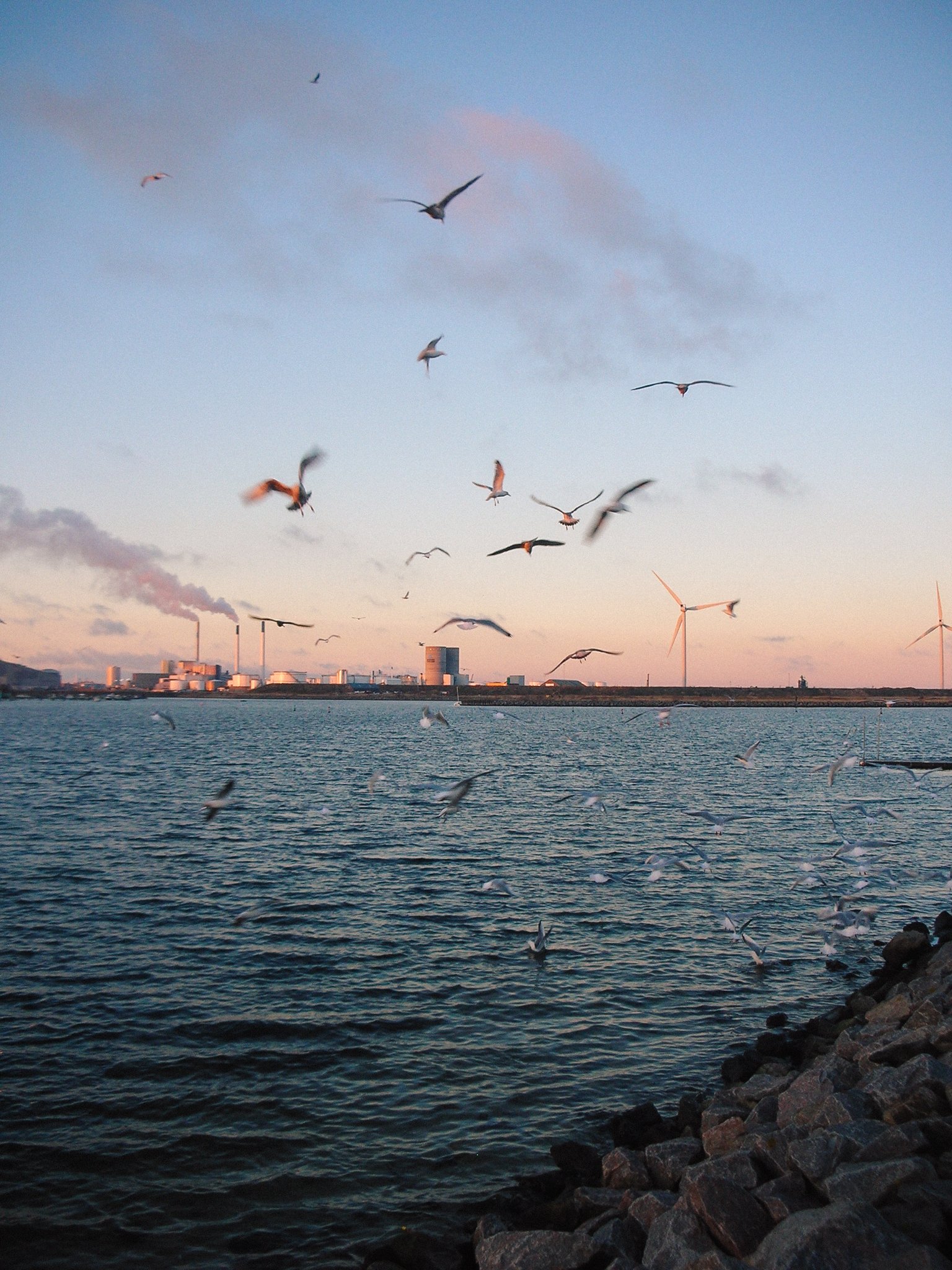 2022_fw_copenhagen-734.jpg