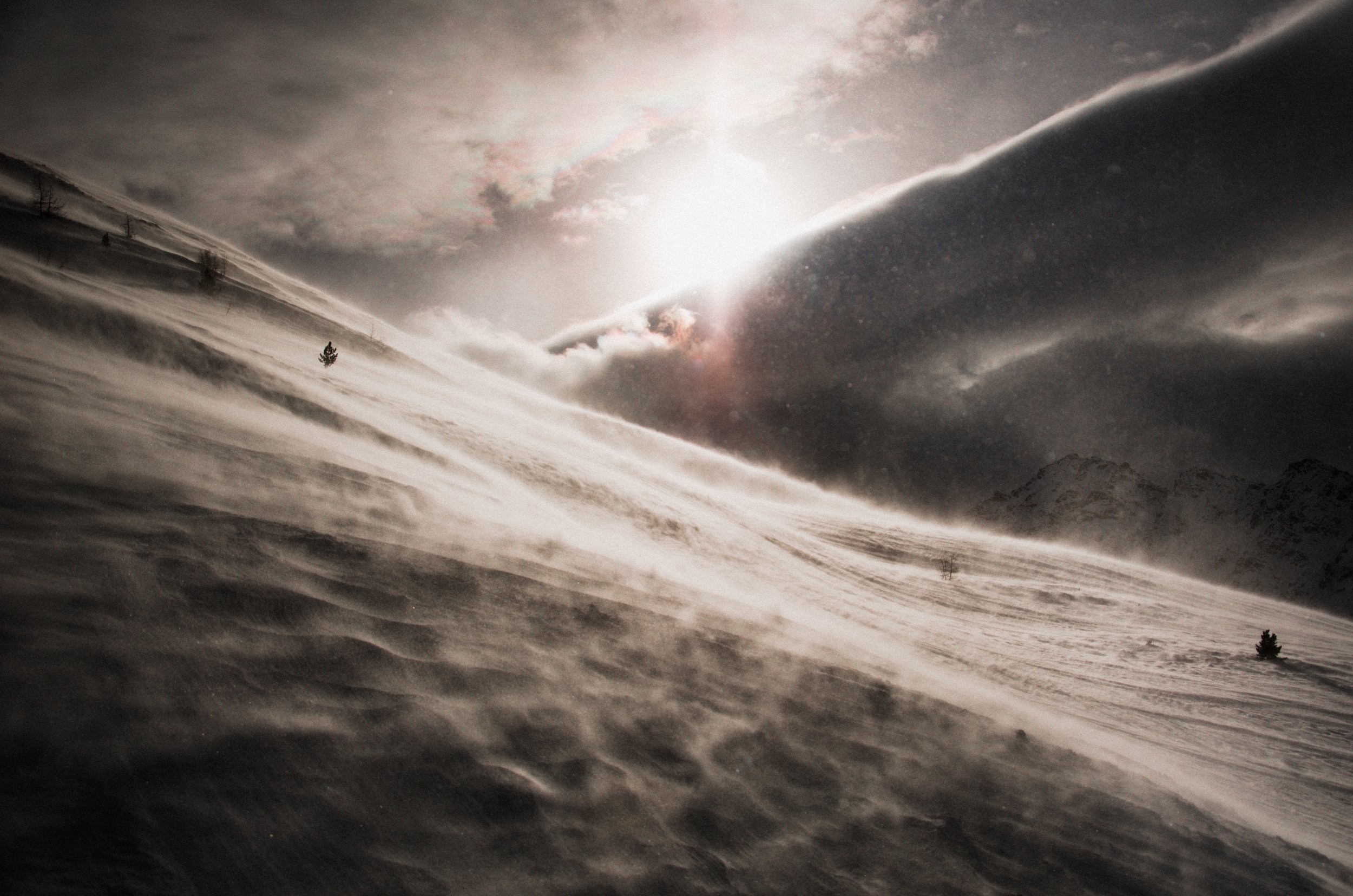 Winter_2019_2.jpg
