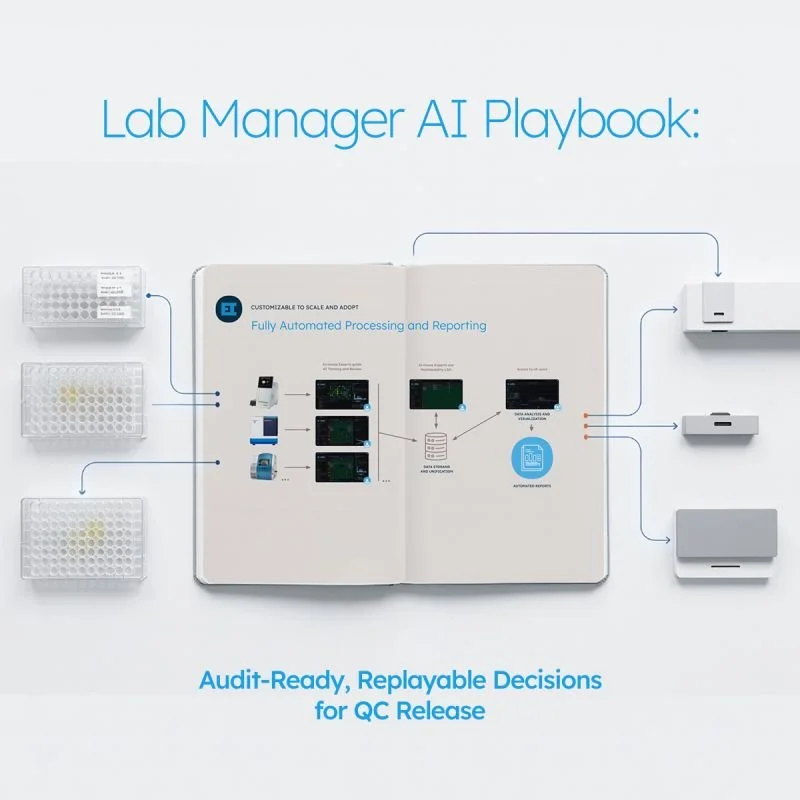 Get your AI Playbook