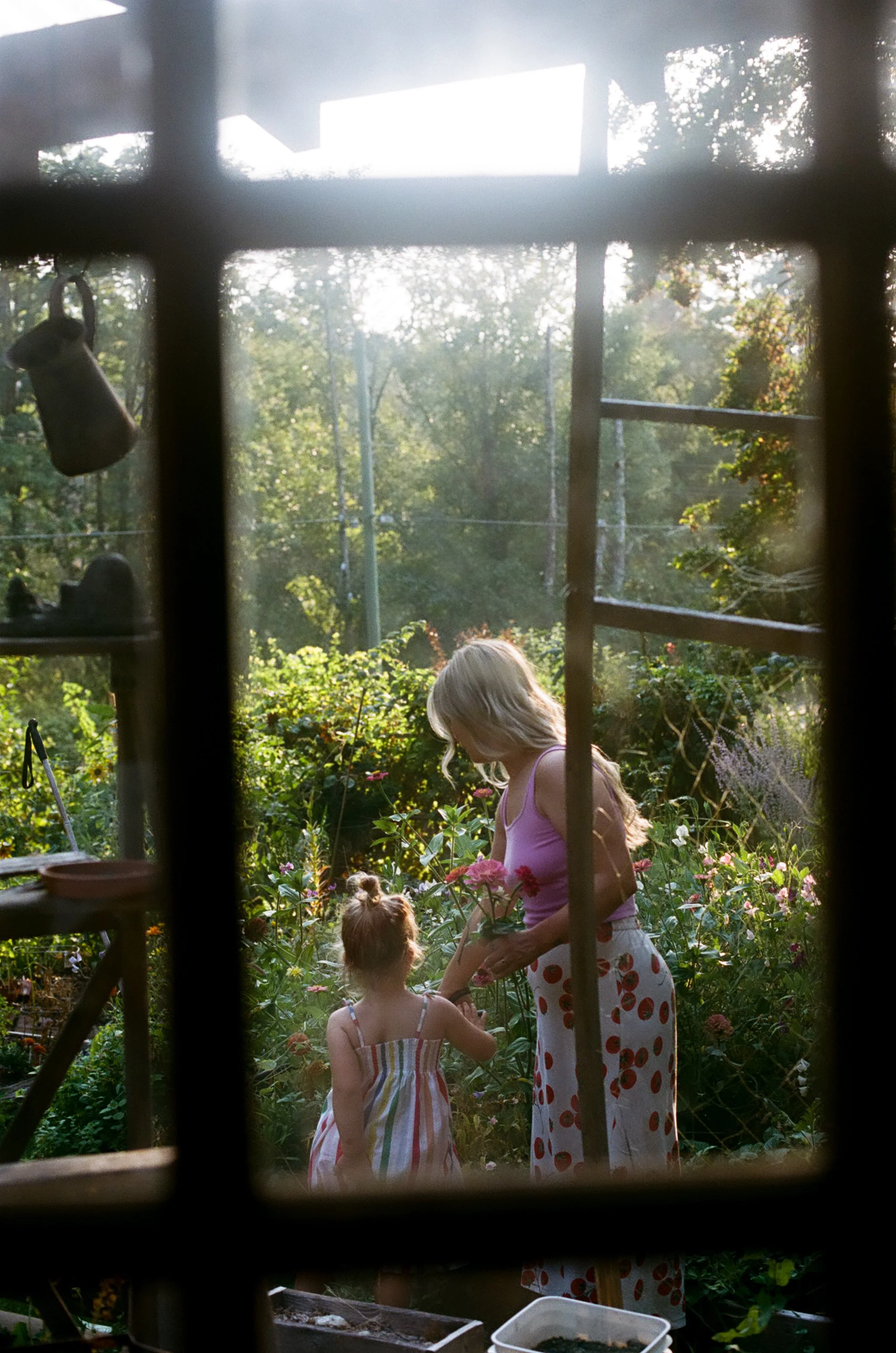 georgiacolorfilm-040.jpg