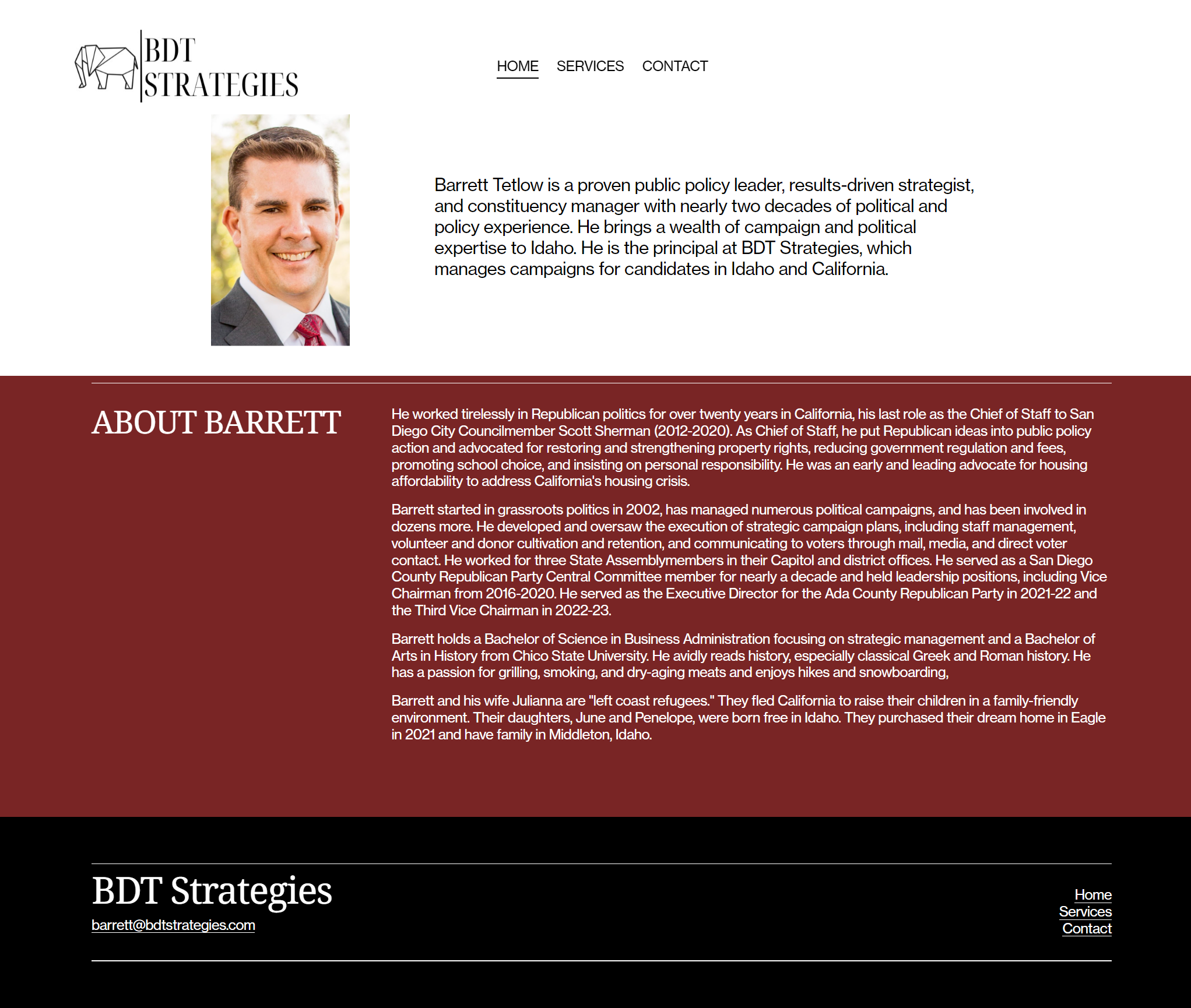 www.bdtstrategies.com_.png