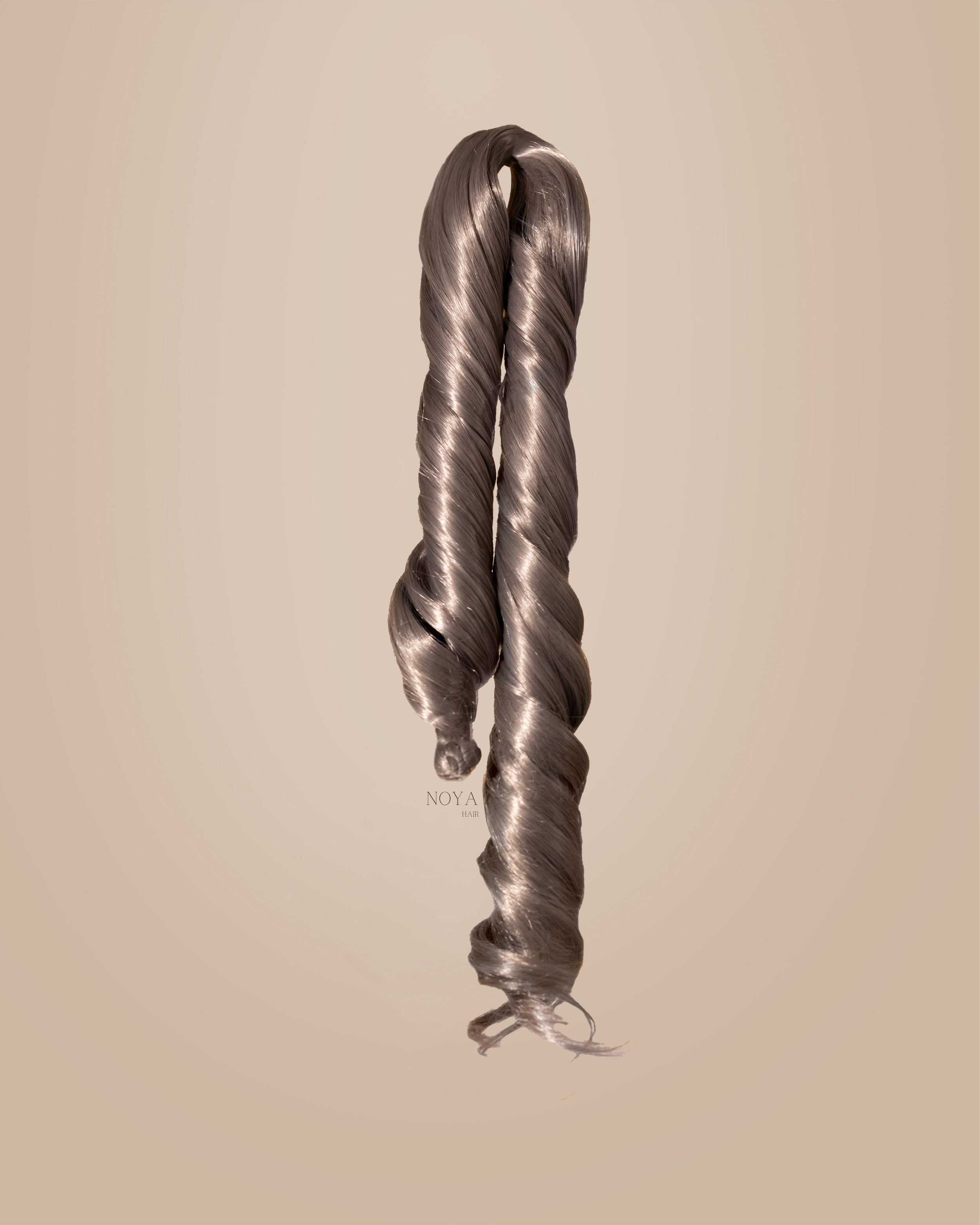 Noya - Silver Hang- WM.png