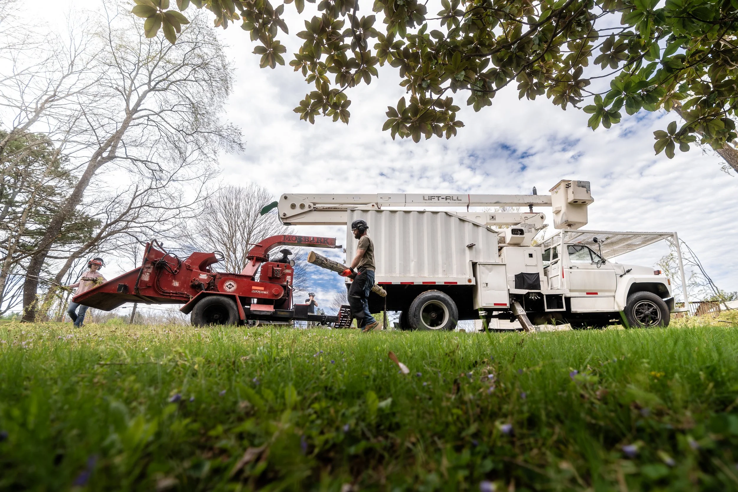 People working outdoors with equipment, trees, and a cloudy sky.