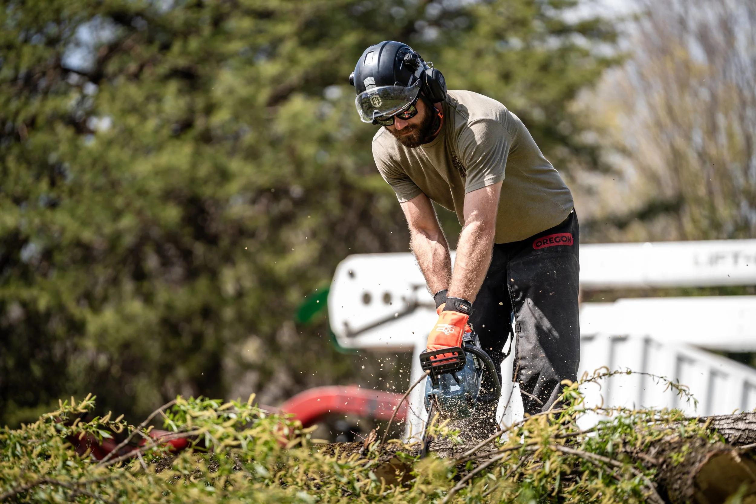 Man wearing helmet and gloves using chainsaw to cut tree branches outdoors with trees in background.