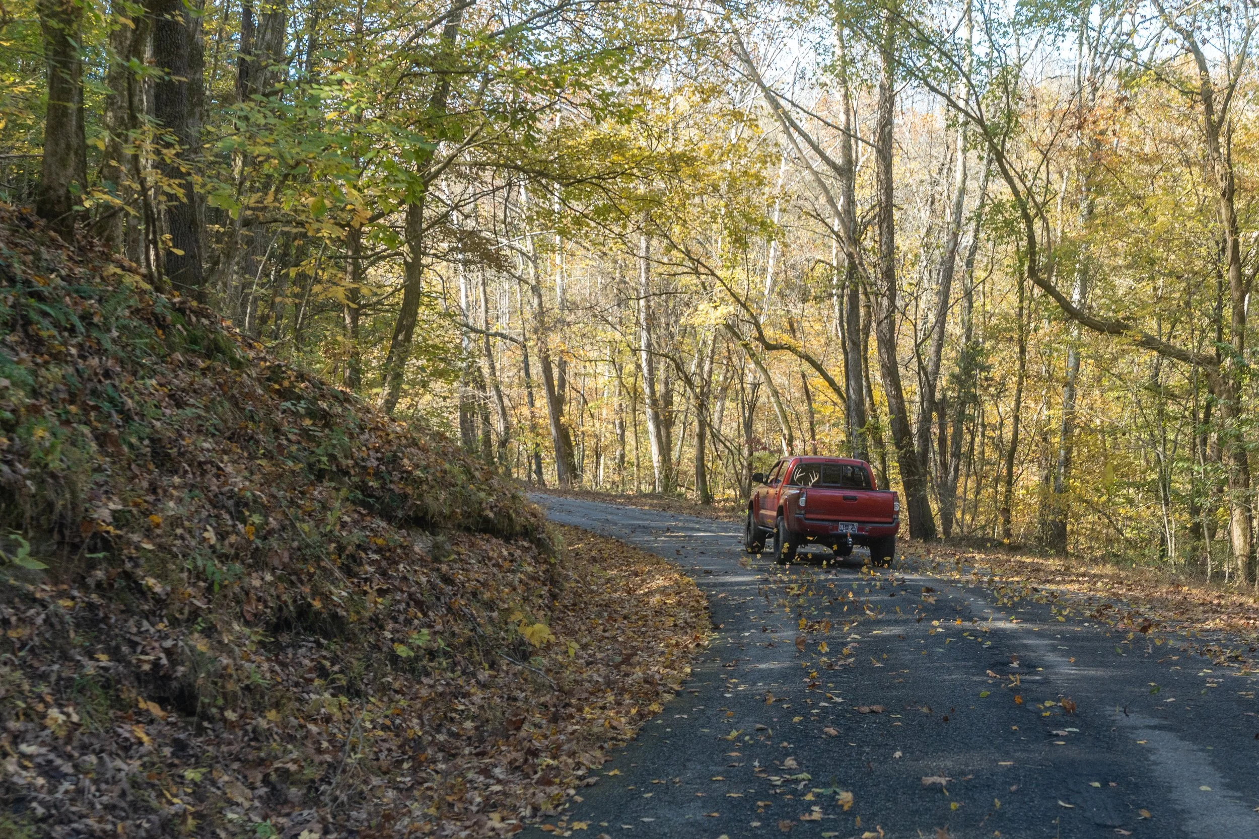 A red pickup truck driving on a winding road through a forest during autumn, with trees showing yellow and green leaves.