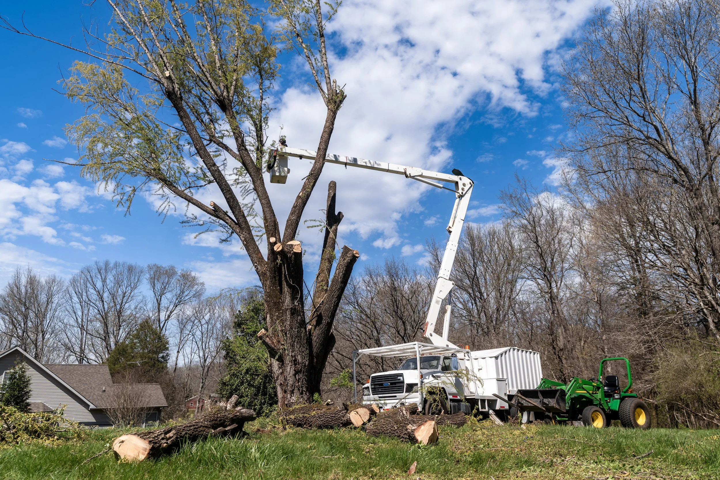 Tree trimming crew removing branches from a tall tree using a bucket lift, with a truck and yard equipment nearby, in a residential neighborhood on a clear day.