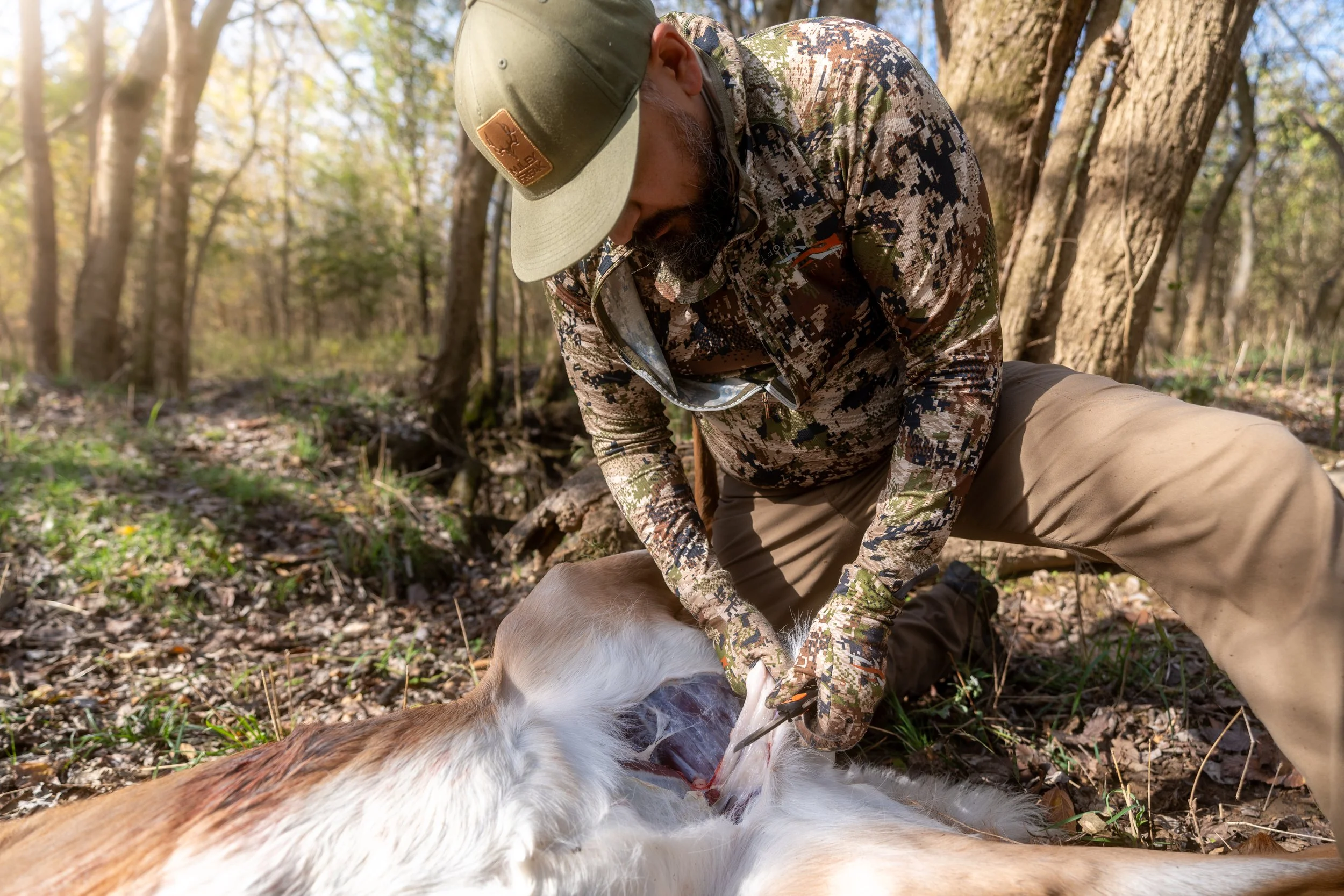 A person in camouflage clothing and a green cap tending to a dog, which is lying on the ground with a visible wound, in a wooded outdoor area.