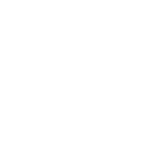 Brave Cave