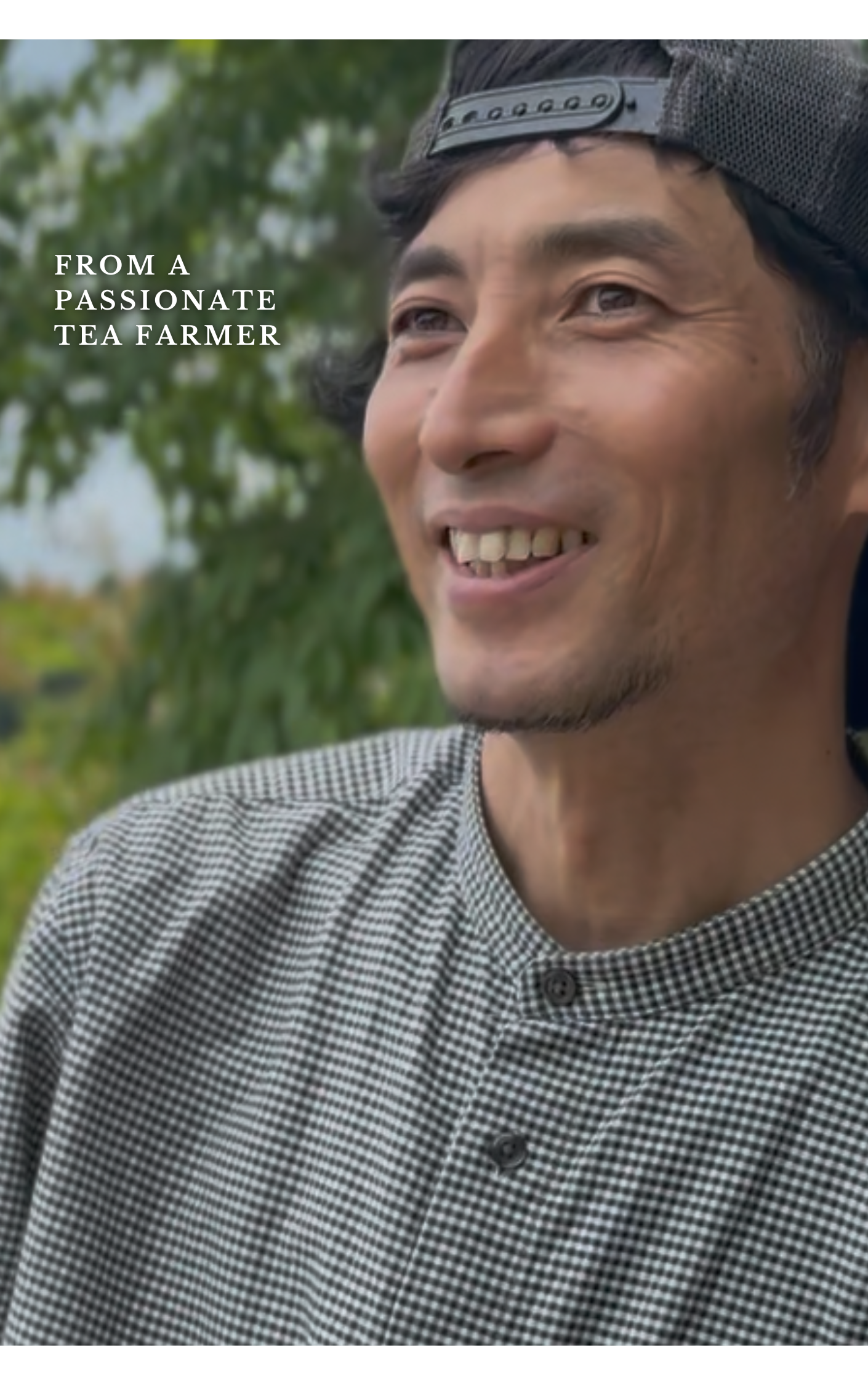 Japan 2026 Pictures! - 6.png