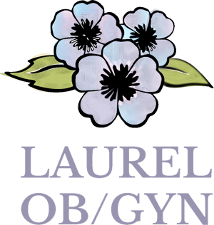 laurel-top-1241673572.png