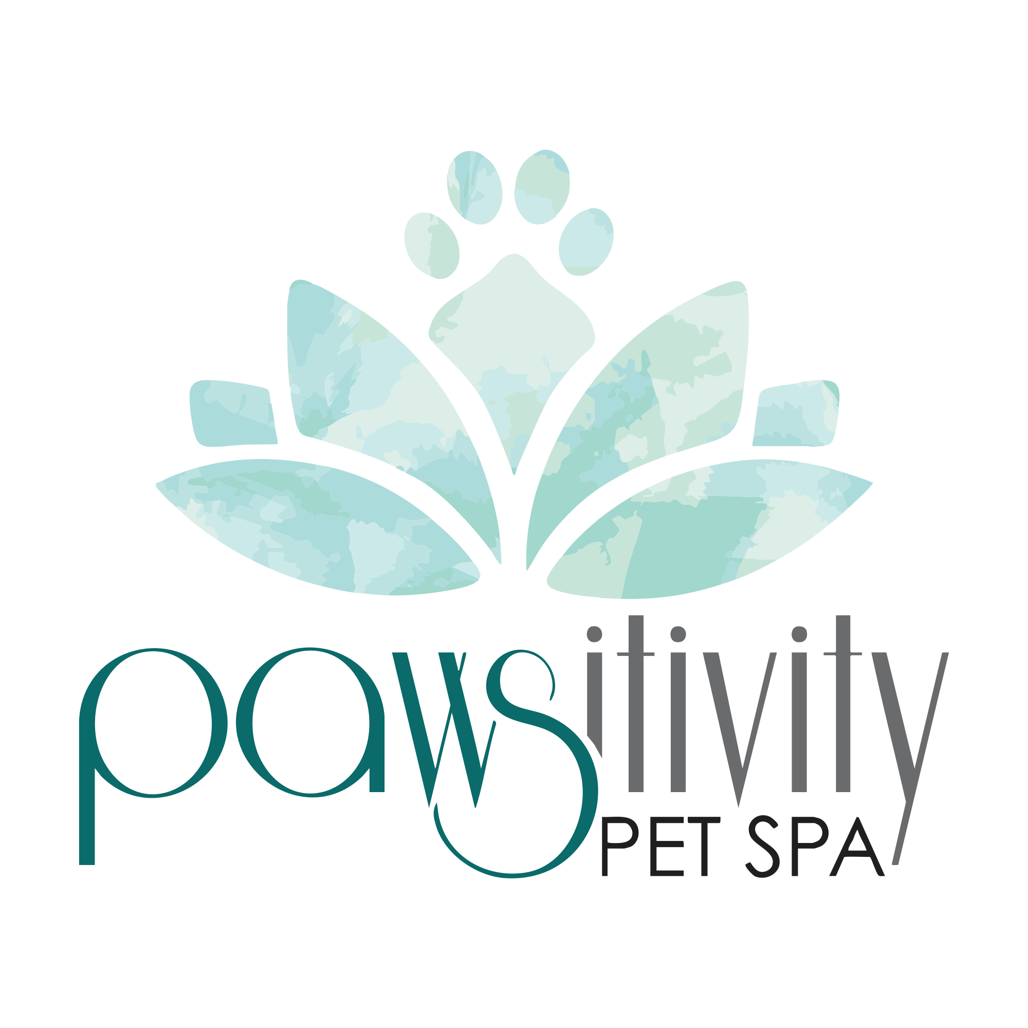 Pawsitivity Pet Spa