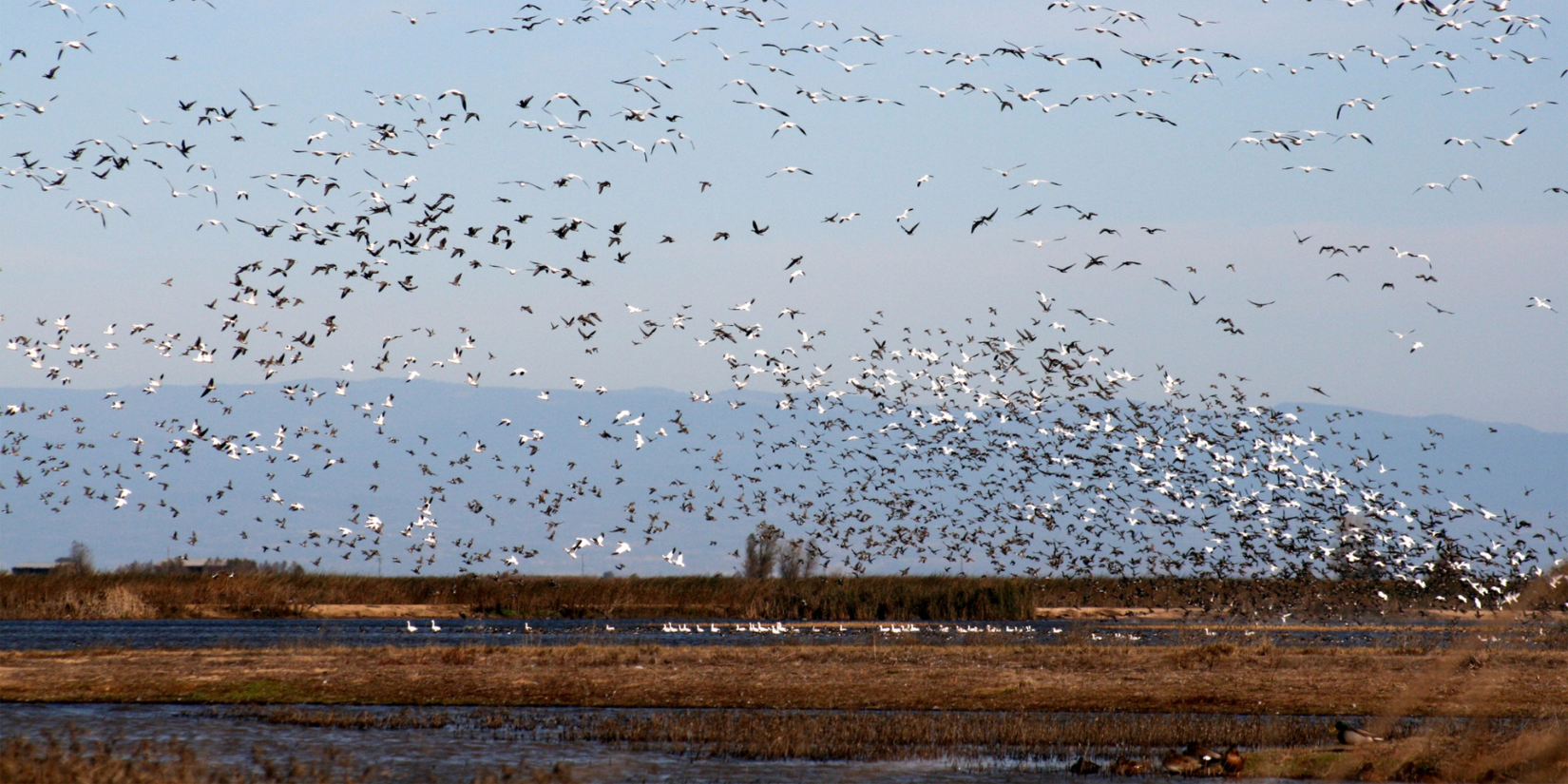A Water Renaissance For California 