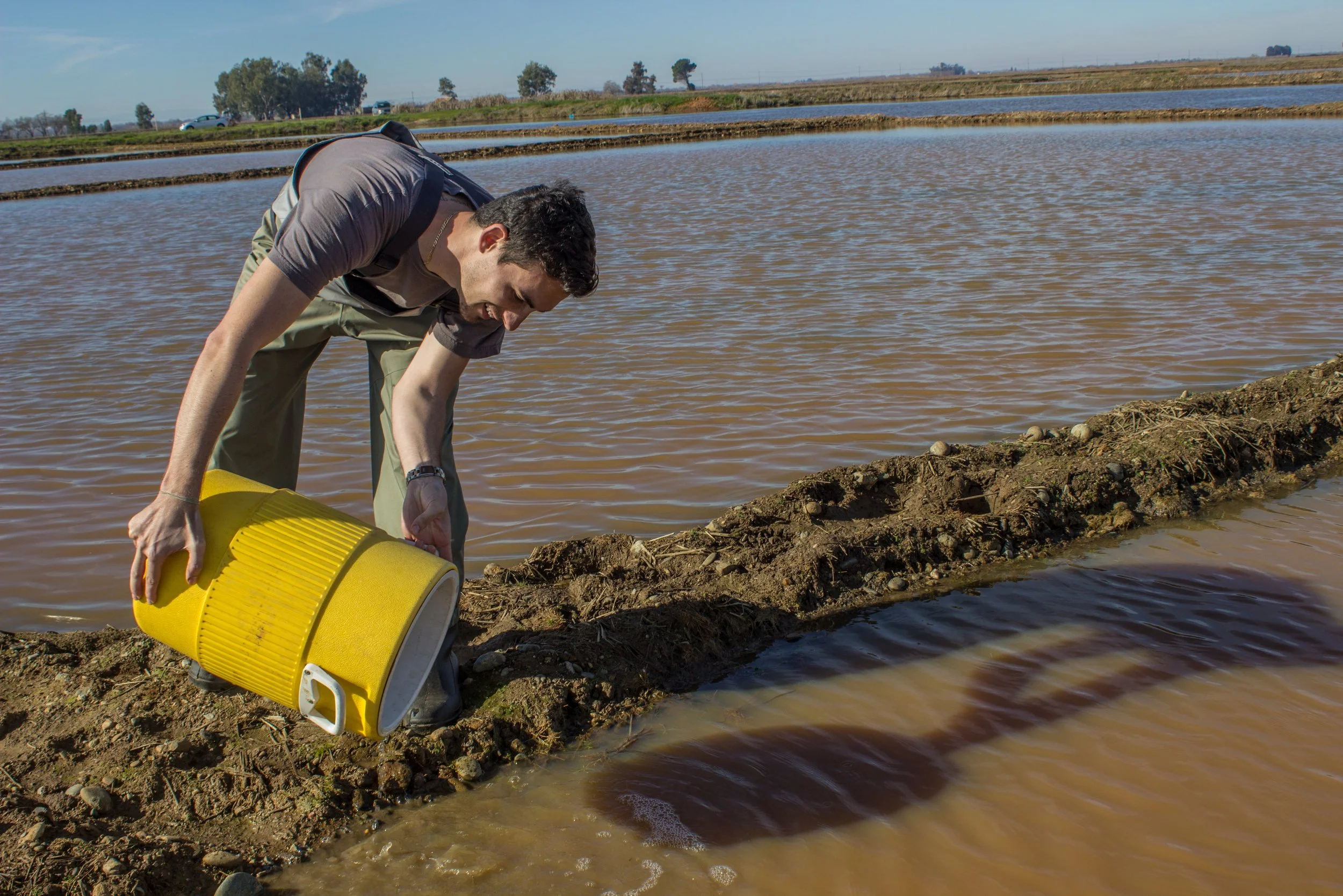A man in outdoor clothing pouring water into a compost or soil test container near a farm pond with tilled land and trees in the background. Fish in the Fields in Arkansas.