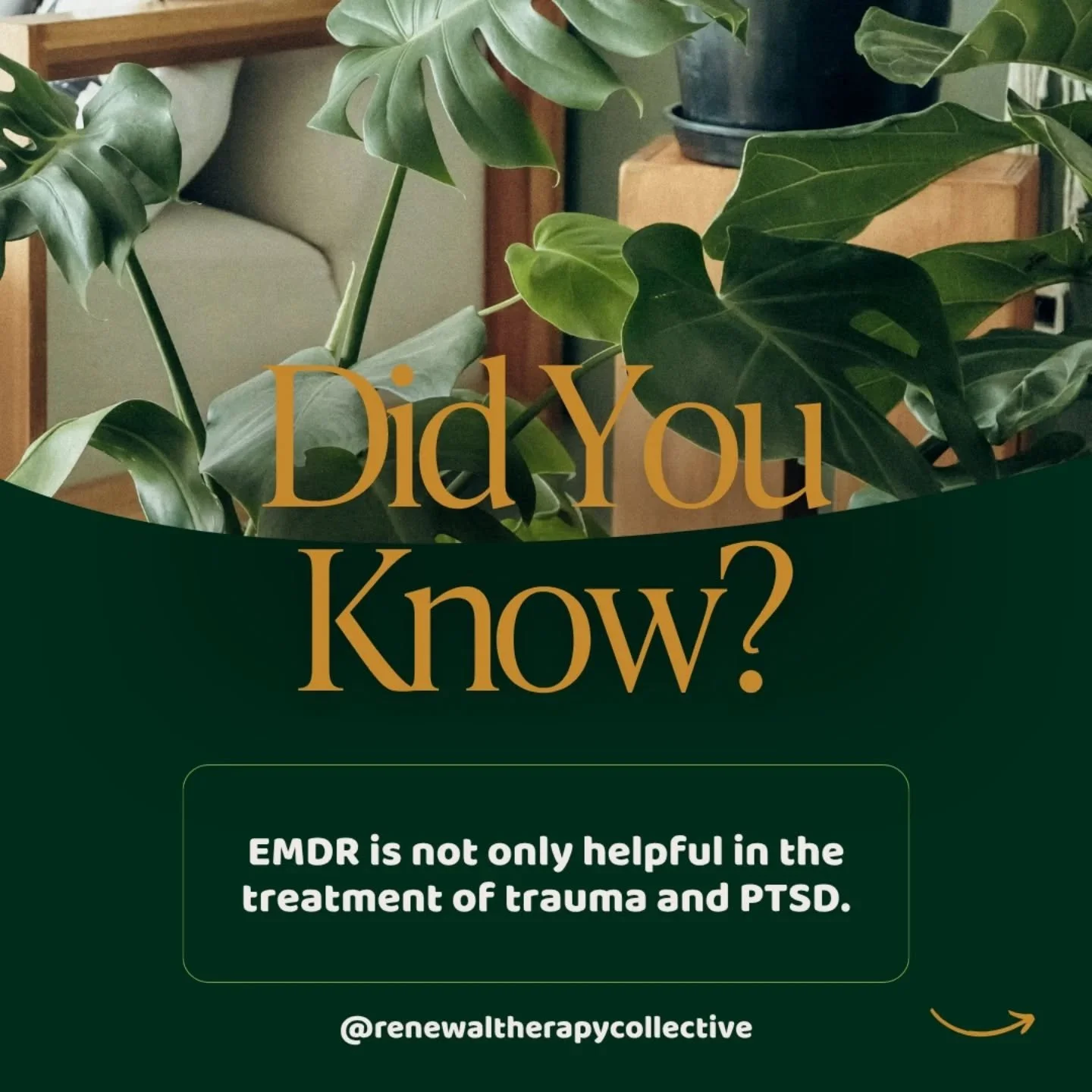 Did you know that EMDR can be applied to many different issues beyond trauma and PTSD?

#traumarecovery #traumatherapy #relationaltrauma #emdrtherapy #wenatchee
