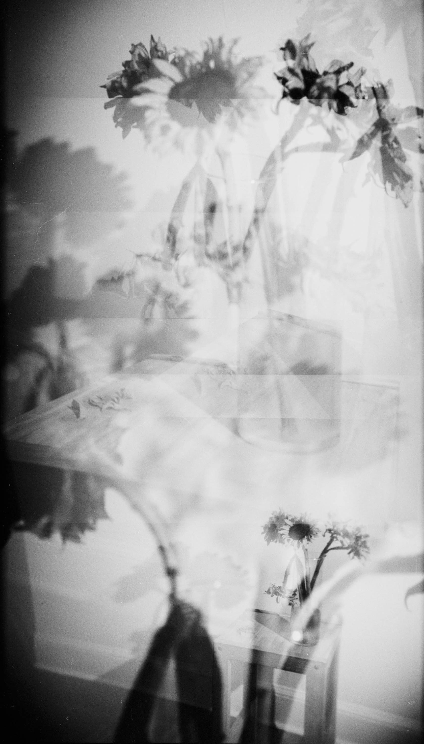 Olivia_Greenberg-12.jpg