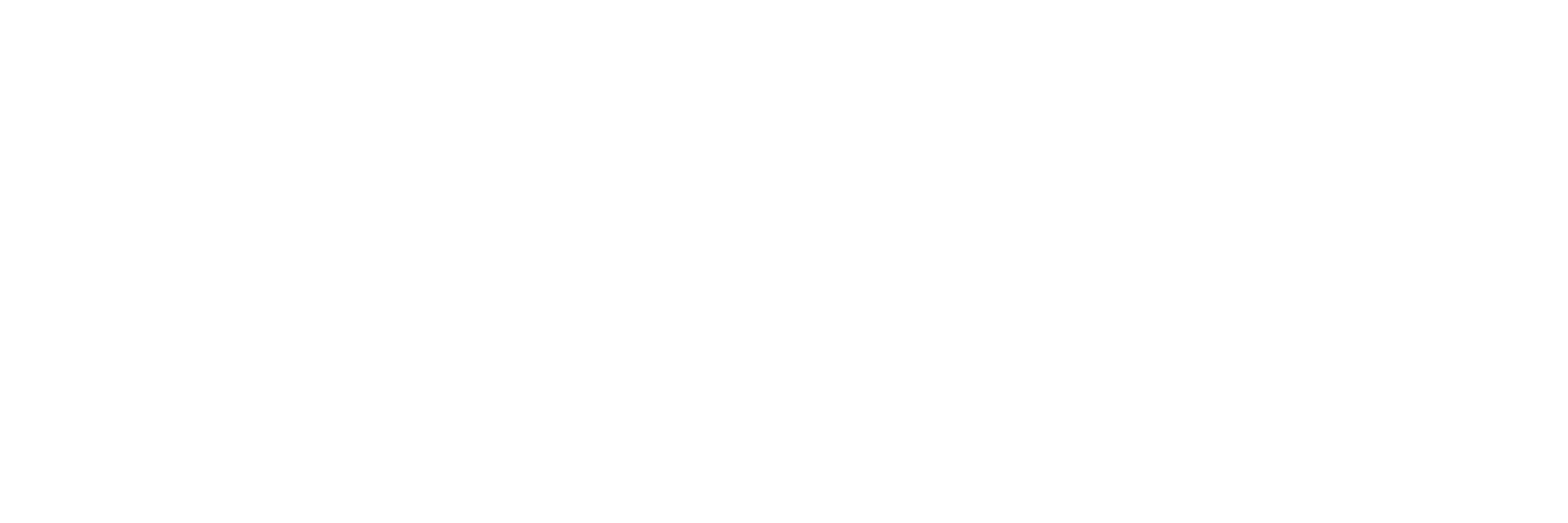 Company logo image Footer