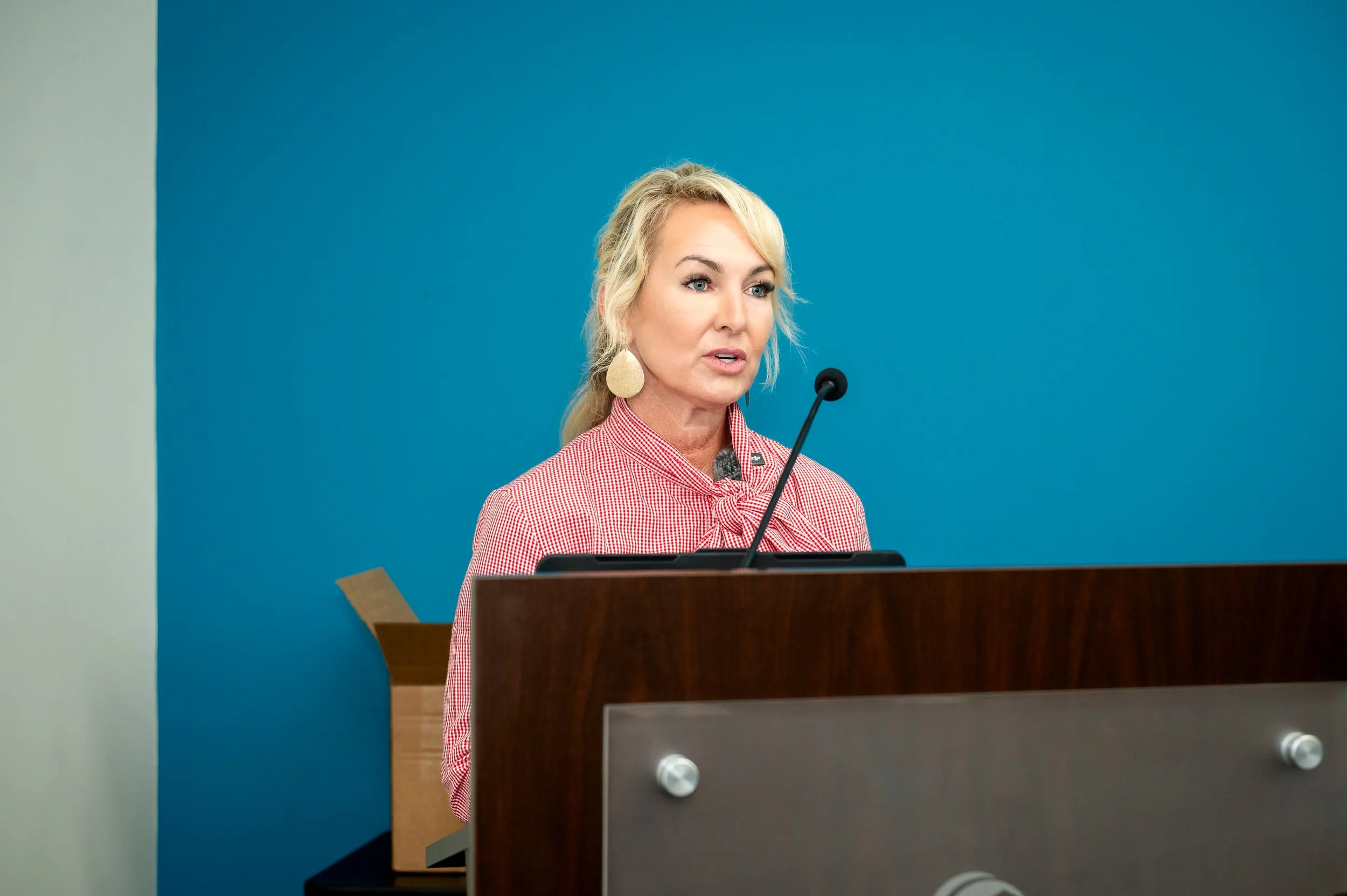 Sandy McAlpine speaking behind a podium at her 2027 Planning Workshop in Myrtle Beach.