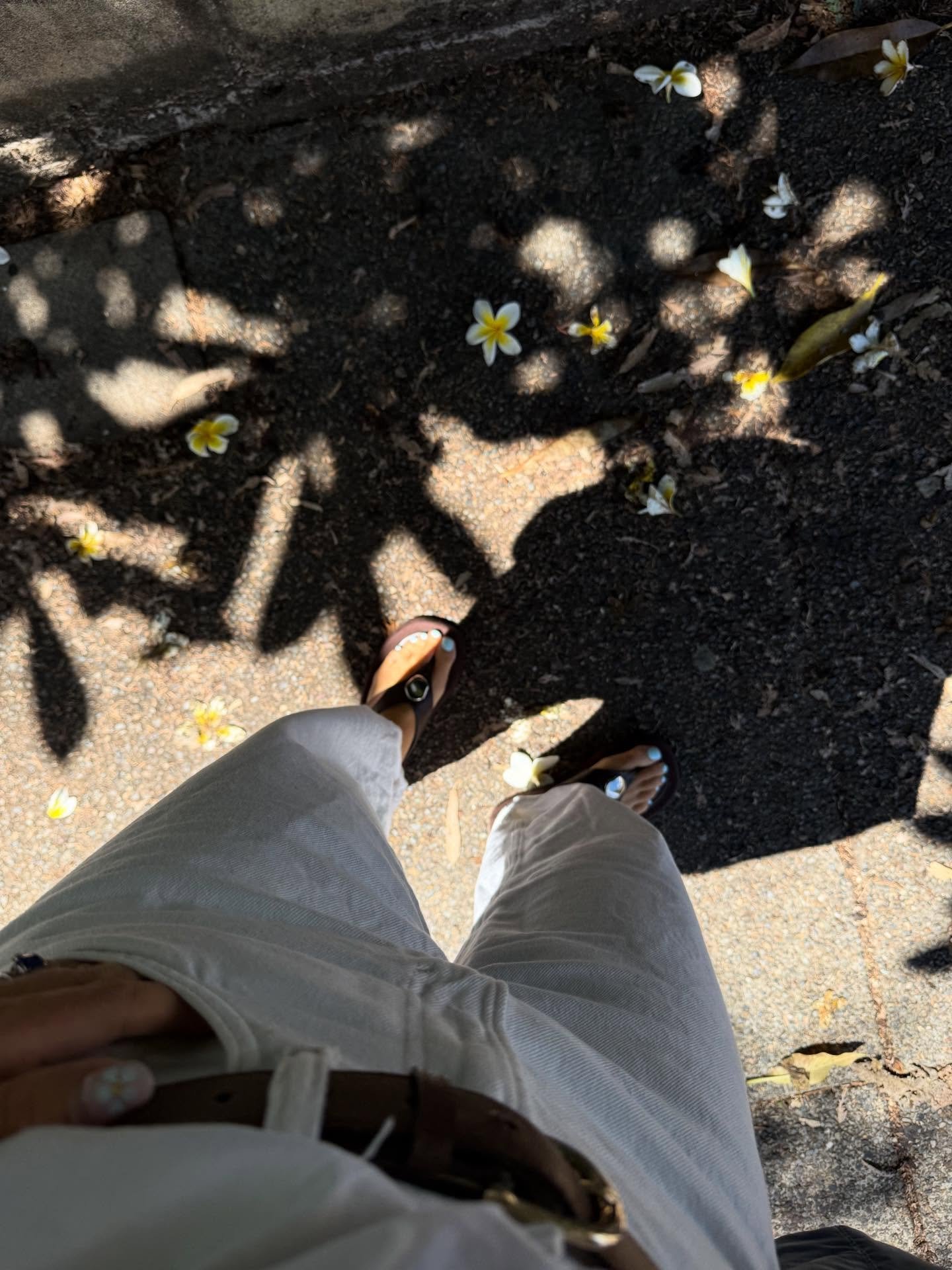 A month (or so) of being back into the rhythm of routine and the day to day magic of the &ldquo;mundane&rdquo;. Soaking up all of it ✨