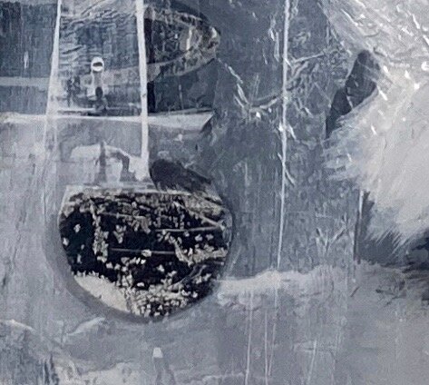 5FC95371-CF62-4F20-9B4E-53589EBCB3D1