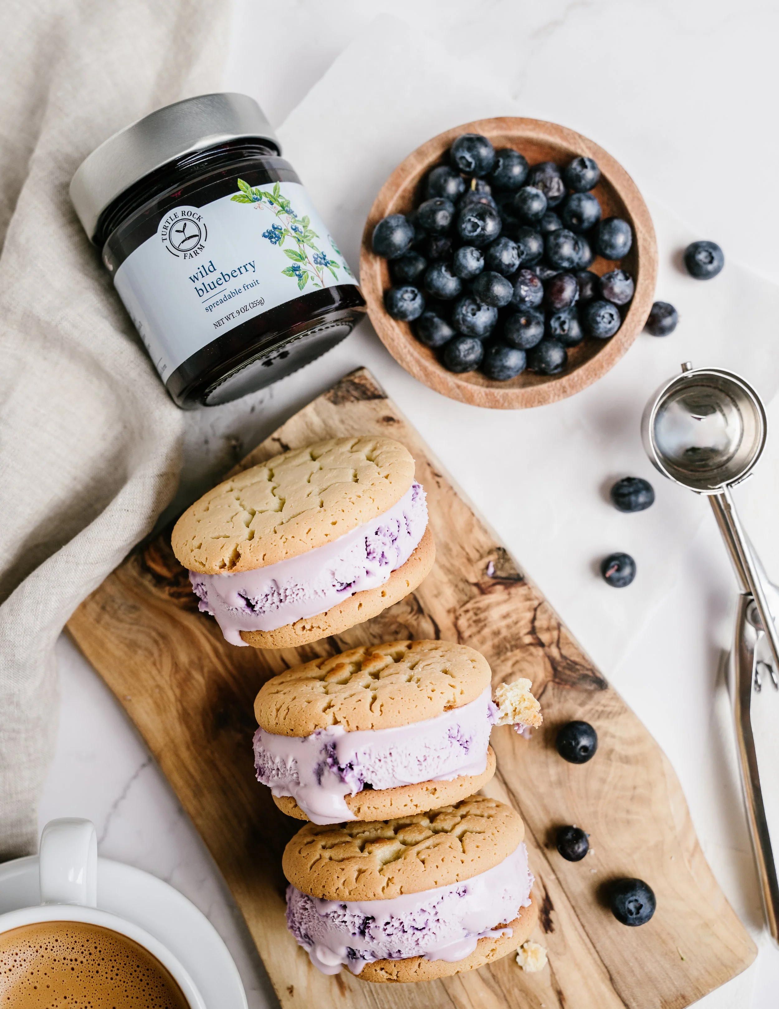 Wild Blueberry No-Churn Ice Cream
