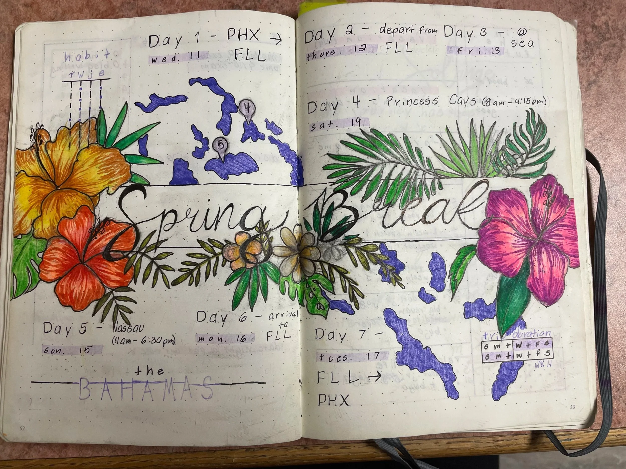 bullet journal entry | a spread detailing my spring break trip to the Bahamas with my family