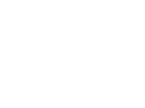 Core Kinesiology